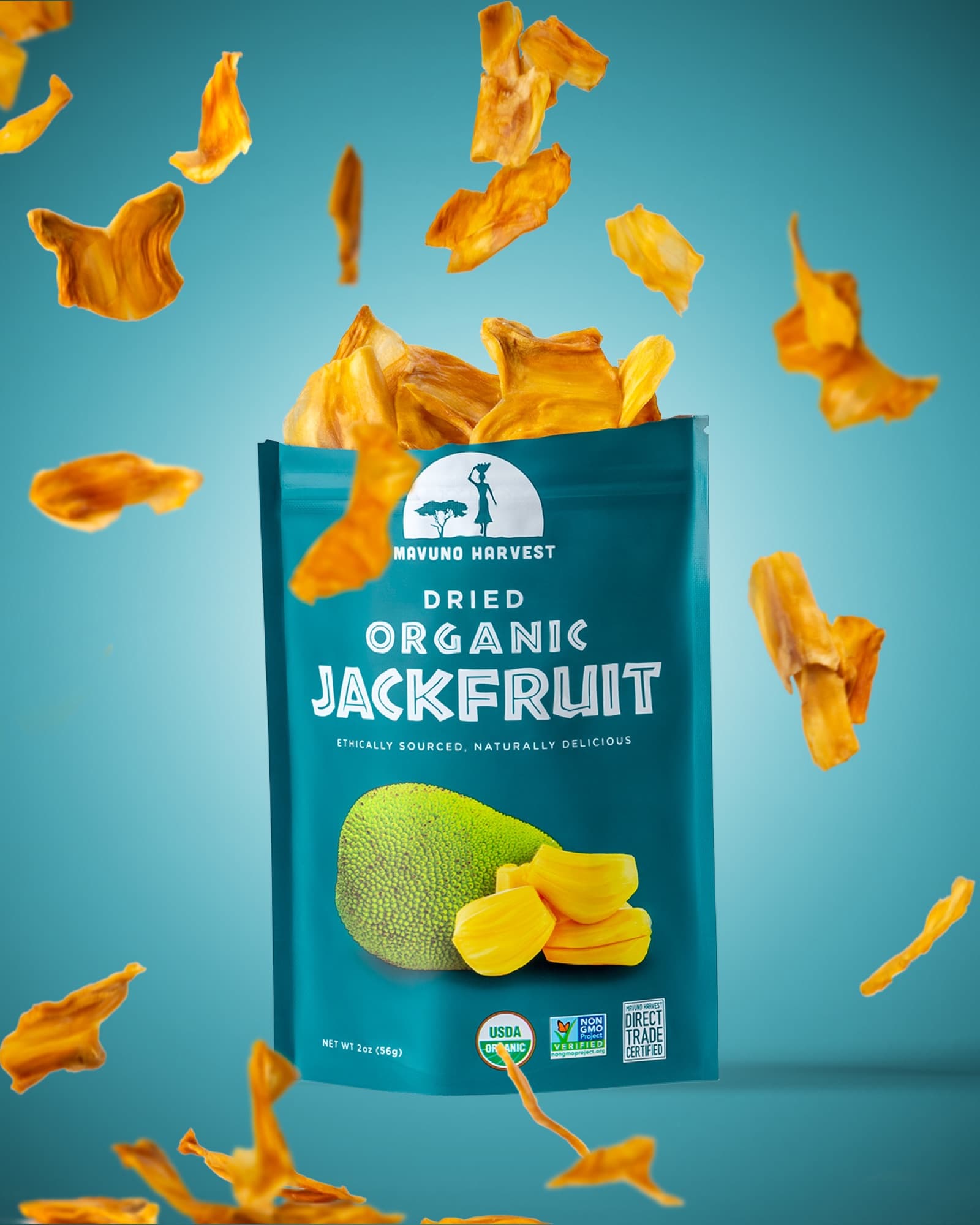 Mike Aron Visuals — image 26